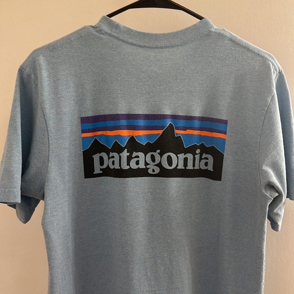 Men’s Size Small Blue Patagonia Tee